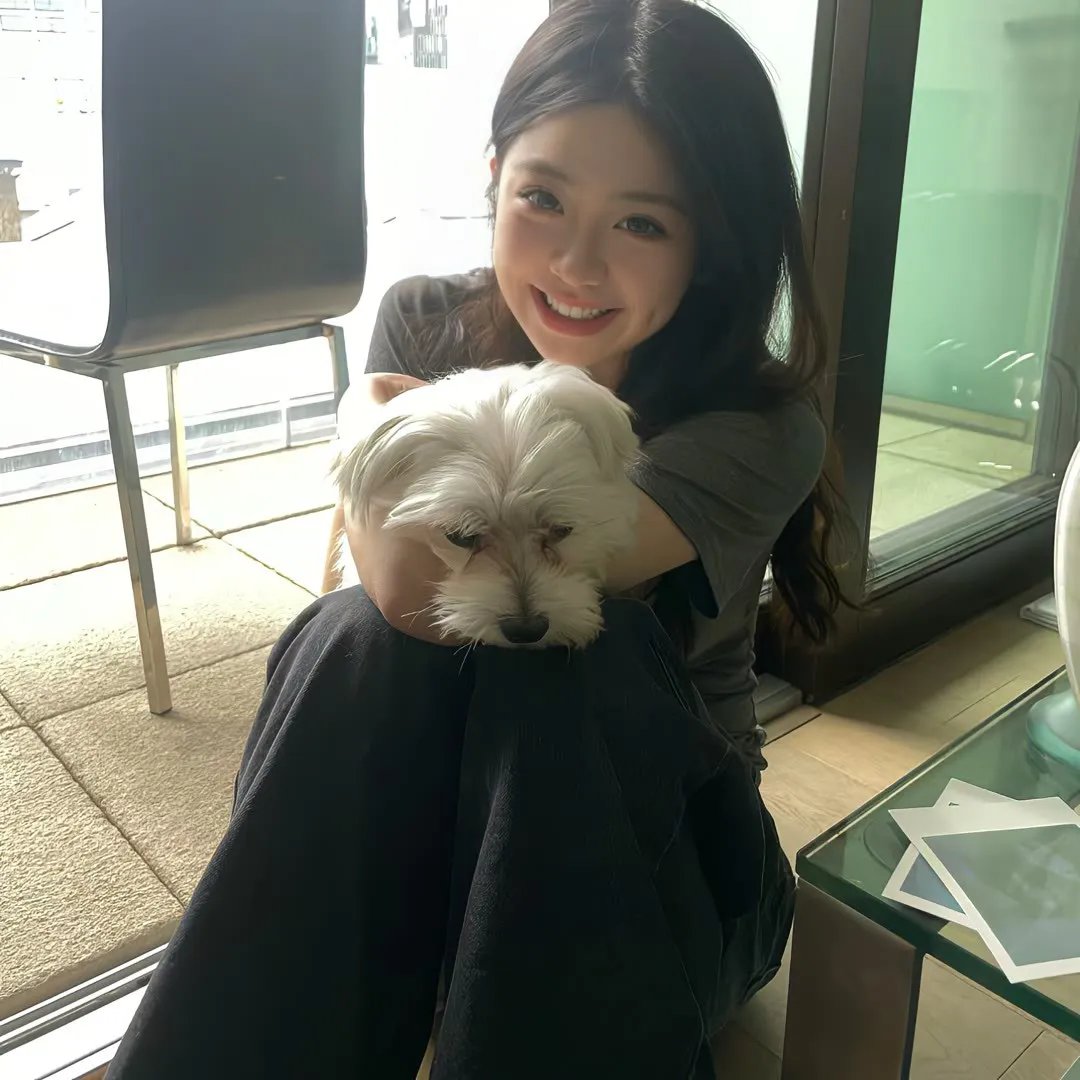 美味情缘国语